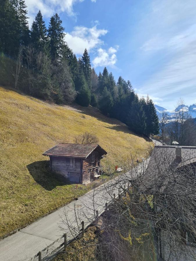 Apartmán Traditional Chalet In Wengen - Top Floor Exteriér fotografie